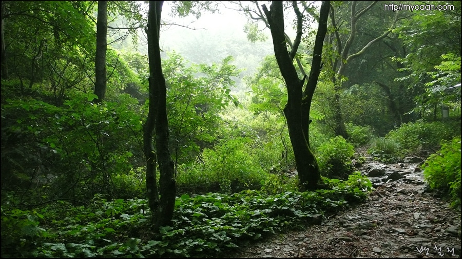 사용자 삽입 이미지