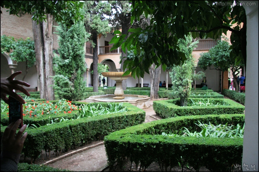 사용자 삽입 이미지