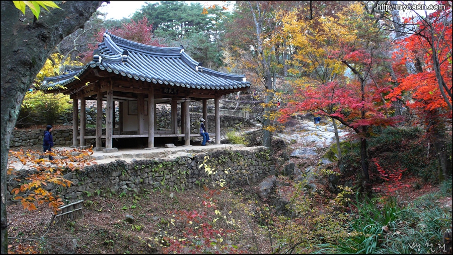 사용자 삽입 이미지