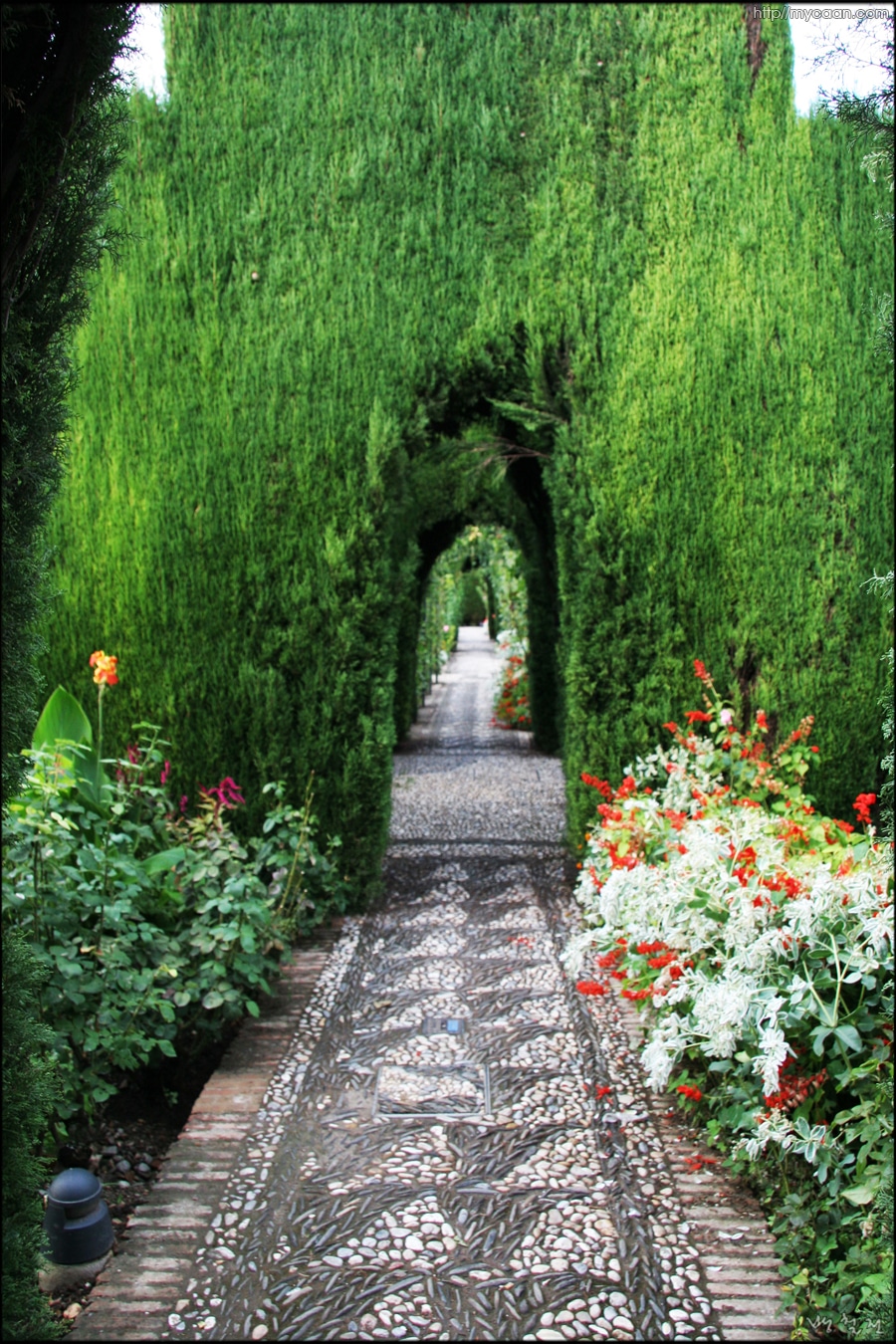 사용자 삽입 이미지