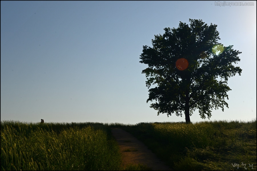 사용자 삽입 이미지