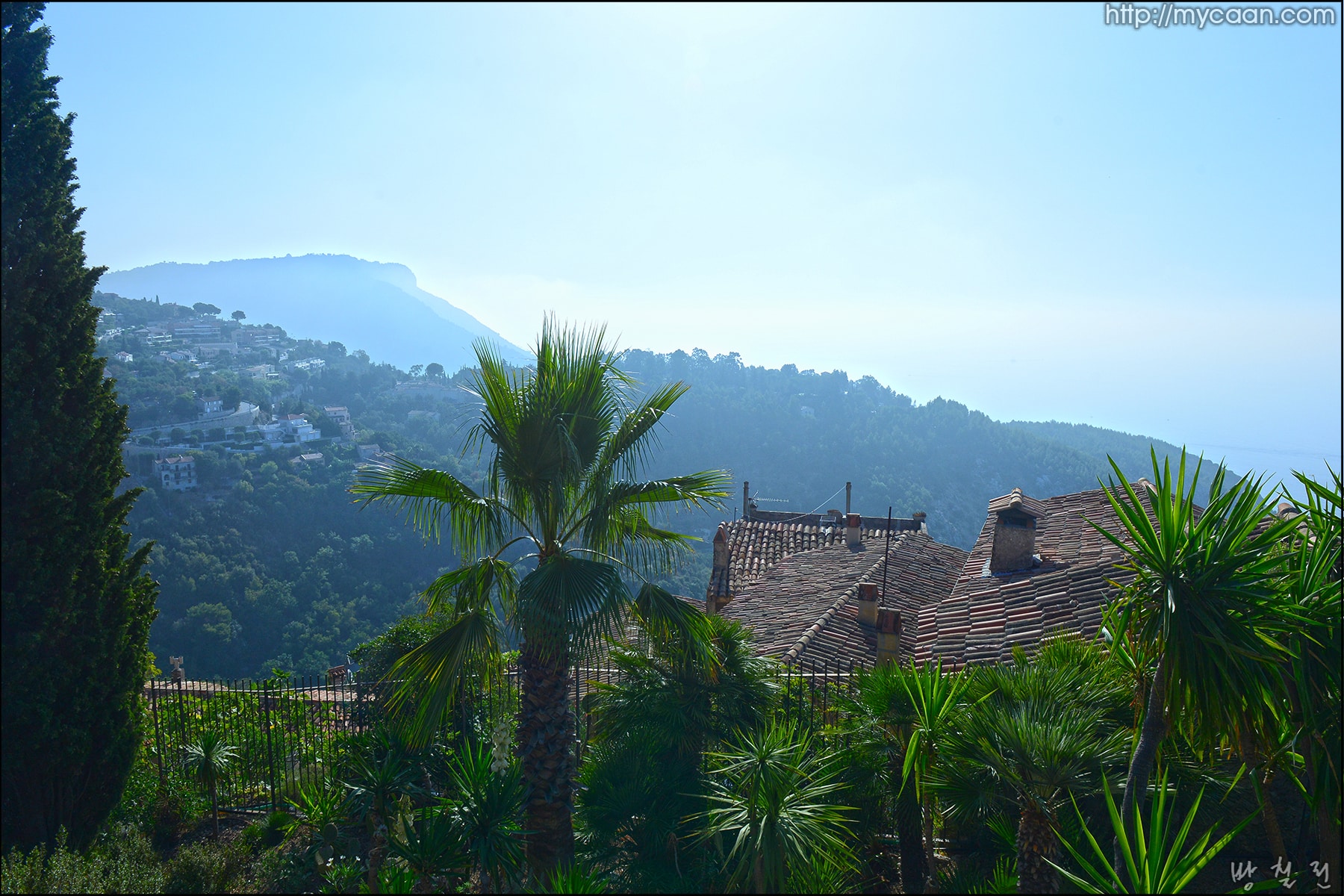 사용자 삽입 이미지