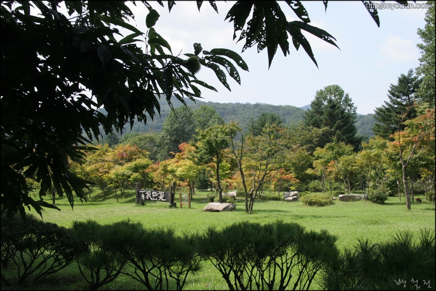 사용자 삽입 이미지