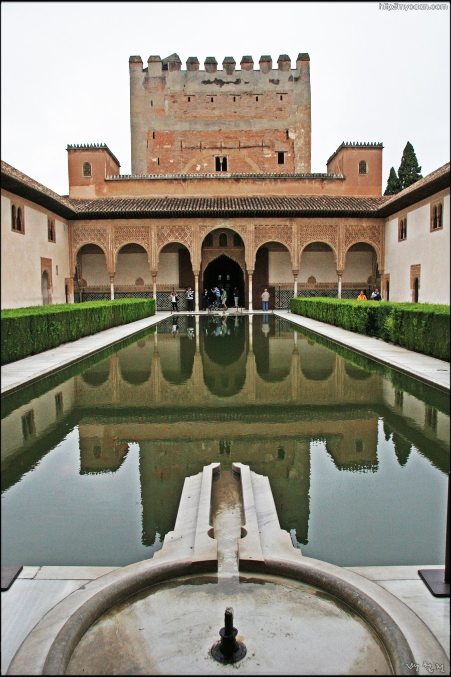 사용자 삽입 이미지