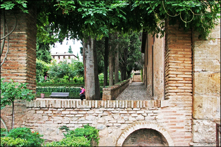 사용자 삽입 이미지