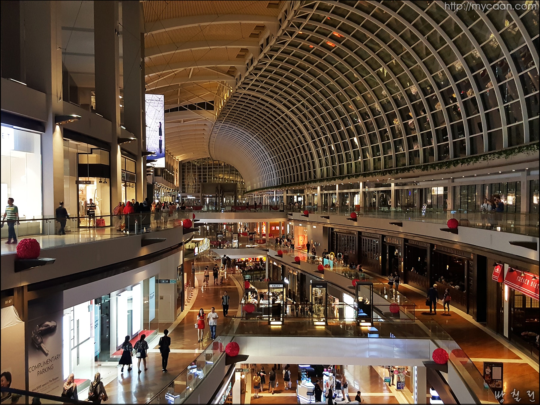 사용자 삽입 이미지