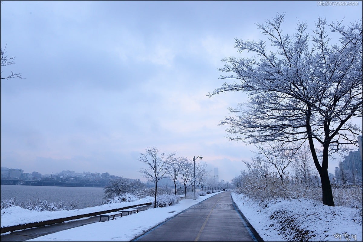 사용자 삽입 이미지