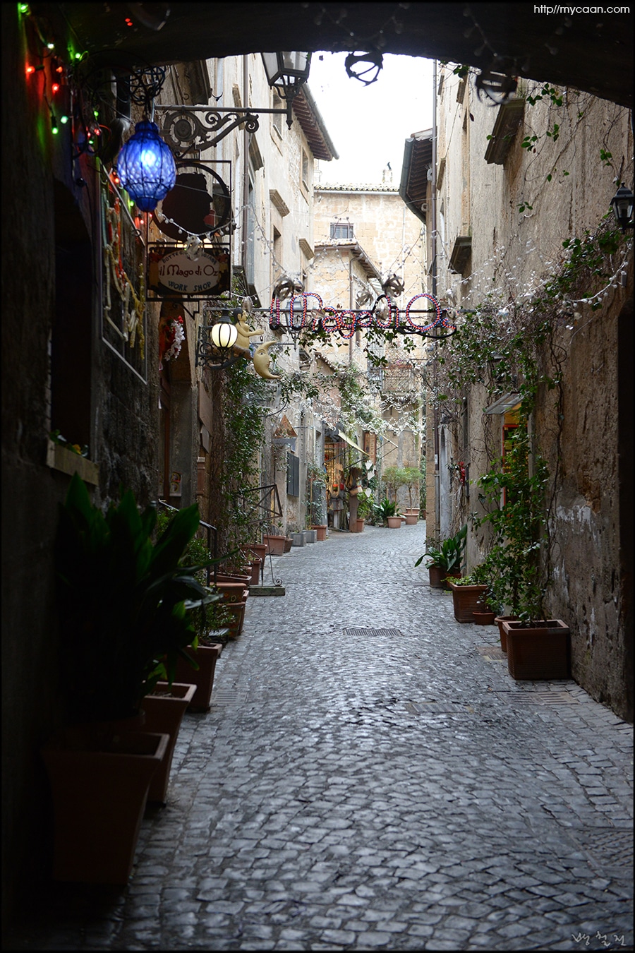 사용자 삽입 이미지