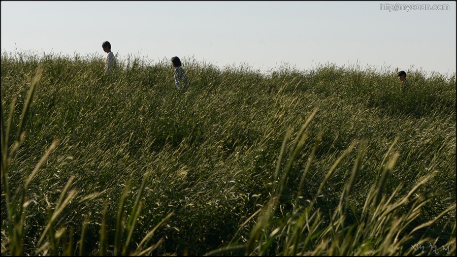 사용자 삽입 이미지