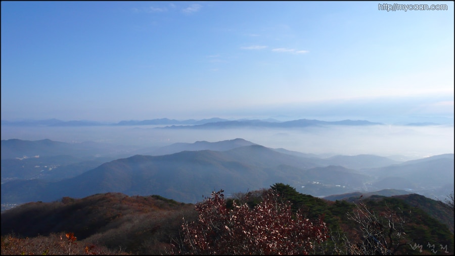 사용자 삽입 이미지