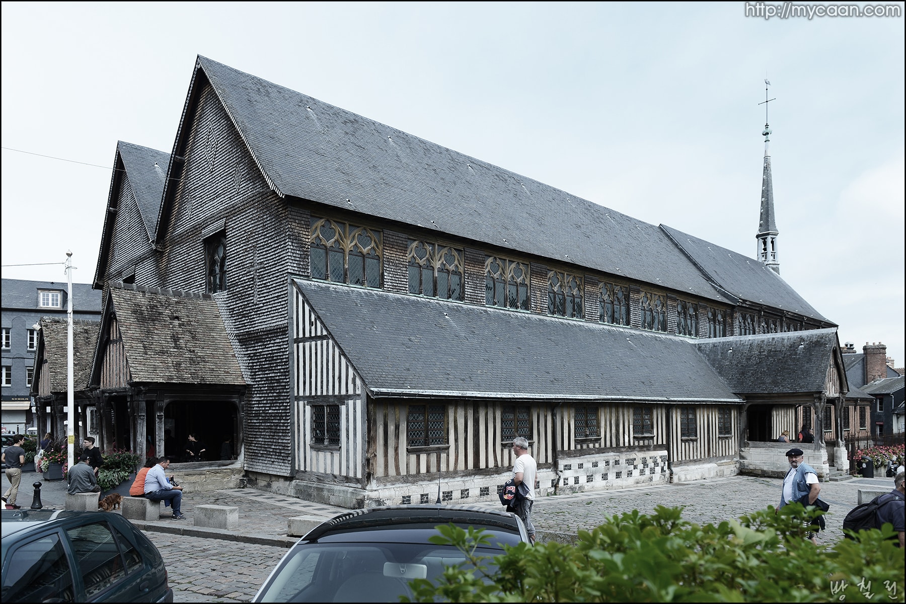 사용자 삽입 이미지