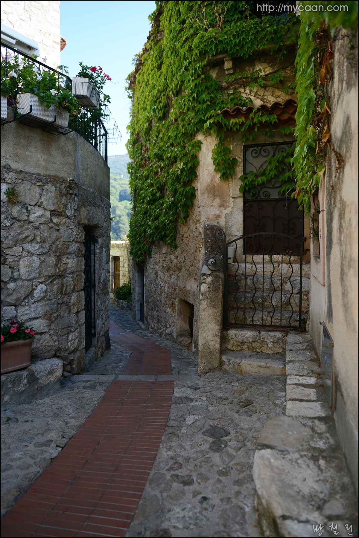 사용자 삽입 이미지