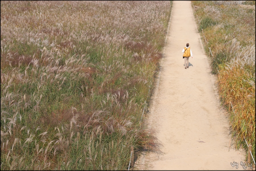 사용자 삽입 이미지