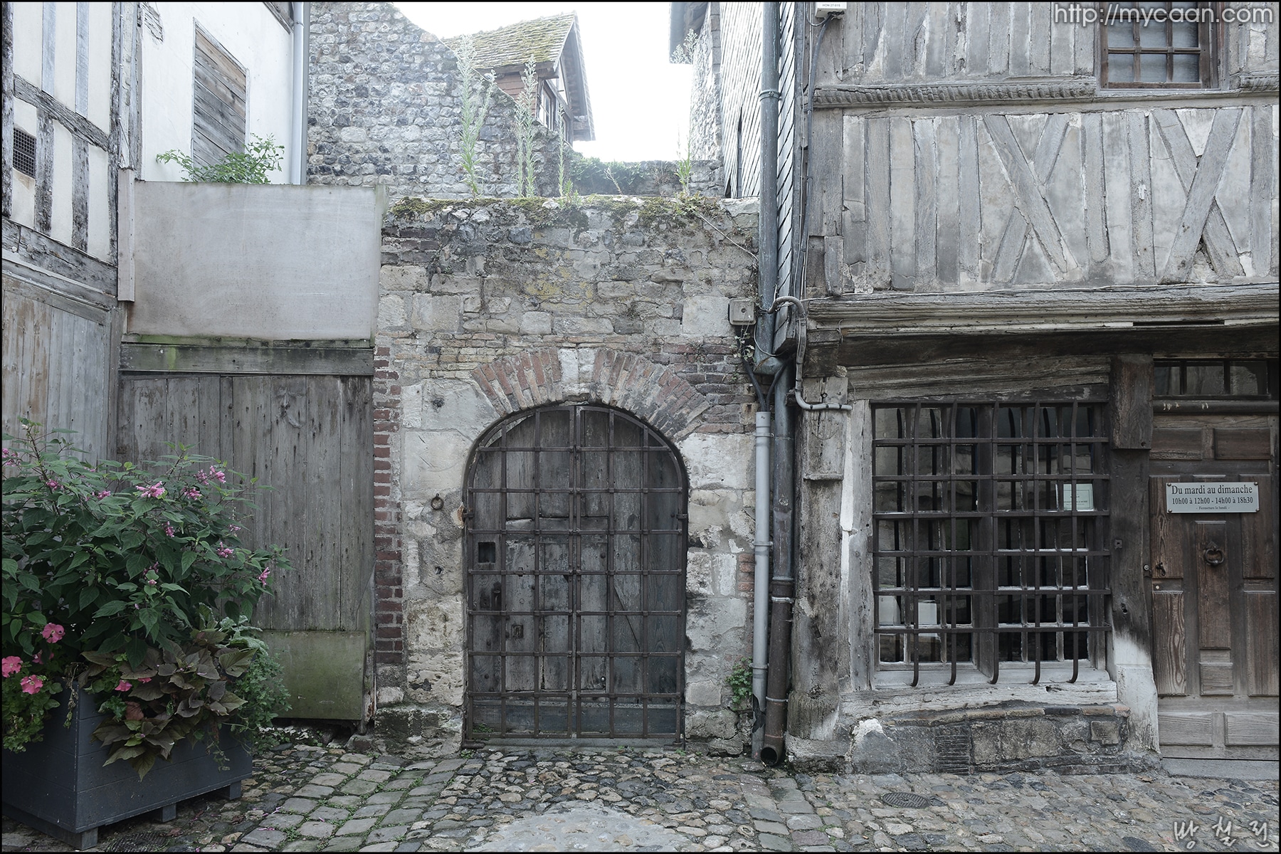 사용자 삽입 이미지