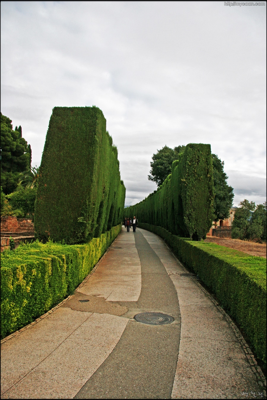 사용자 삽입 이미지