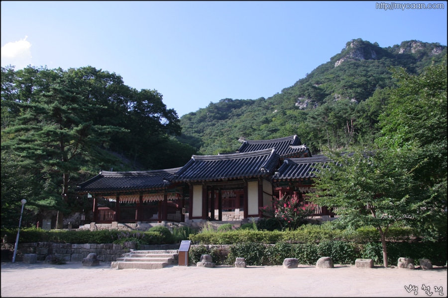 사용자 삽입 이미지