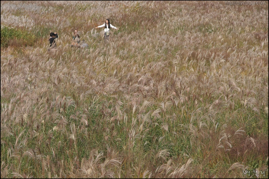 사용자 삽입 이미지