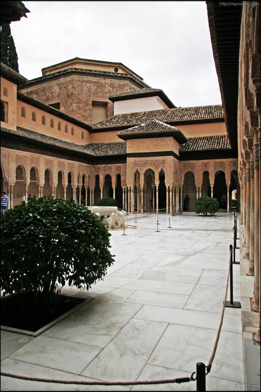 사용자 삽입 이미지