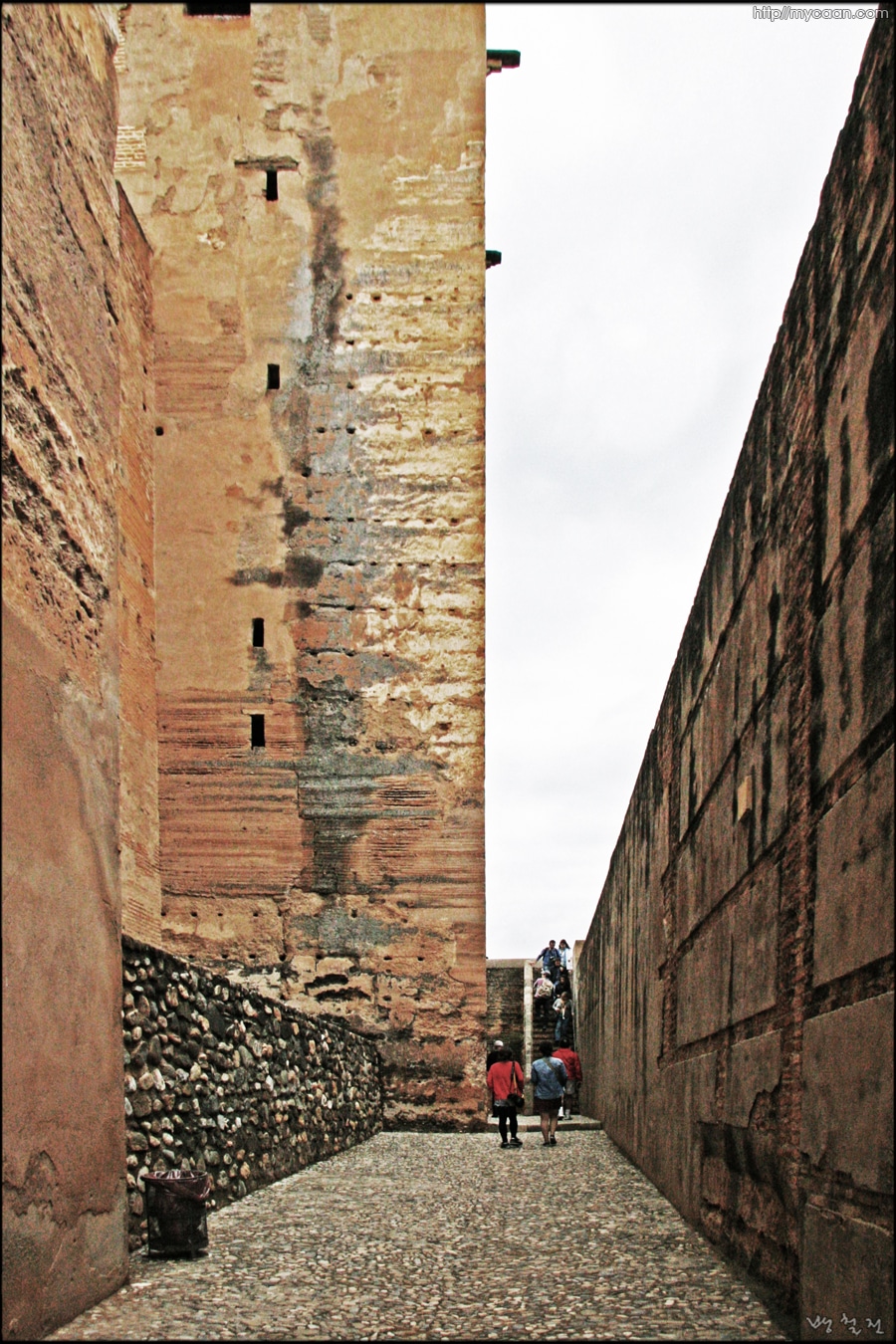 사용자 삽입 이미지