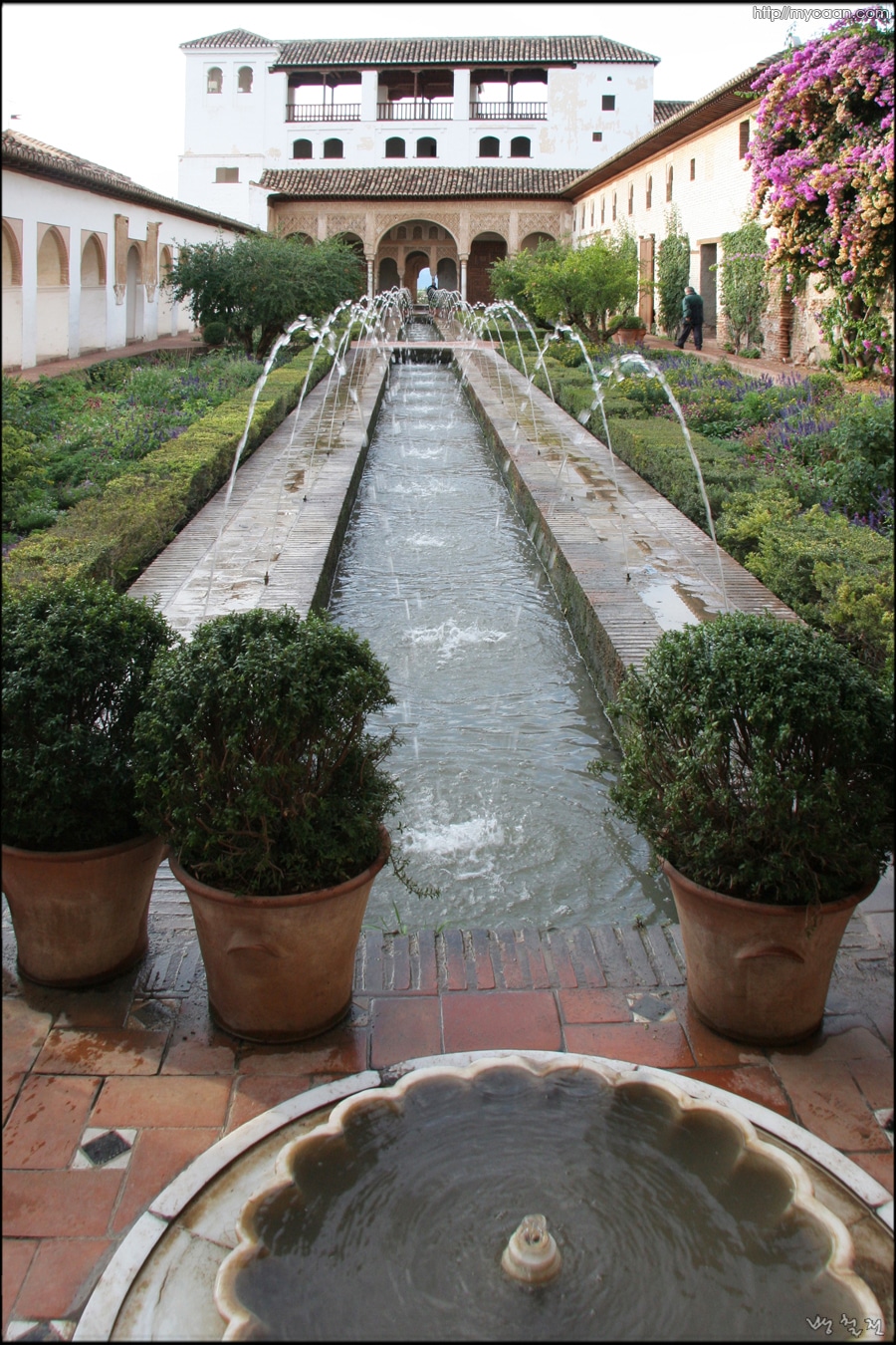 사용자 삽입 이미지