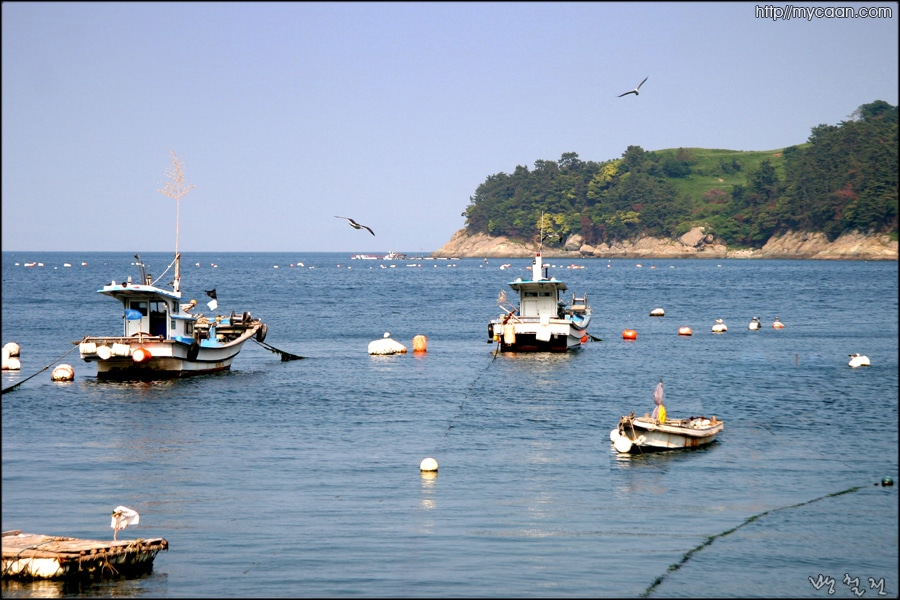 항도몽돌해수욕장