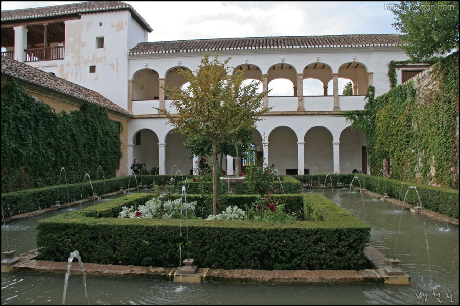 사용자 삽입 이미지