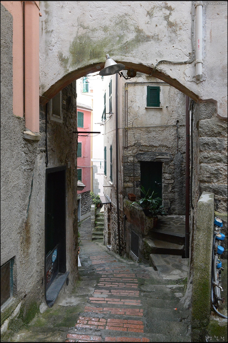 사용자 삽입 이미지