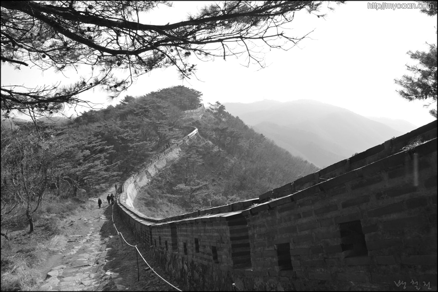 사용자 삽입 이미지