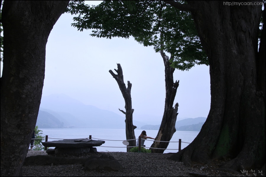 사용자 삽입 이미지