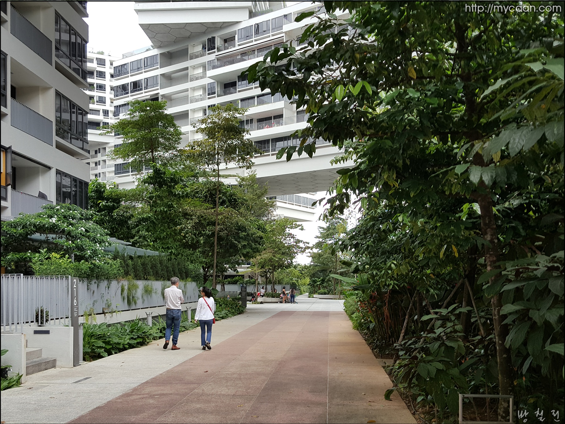 사용자 삽입 이미지