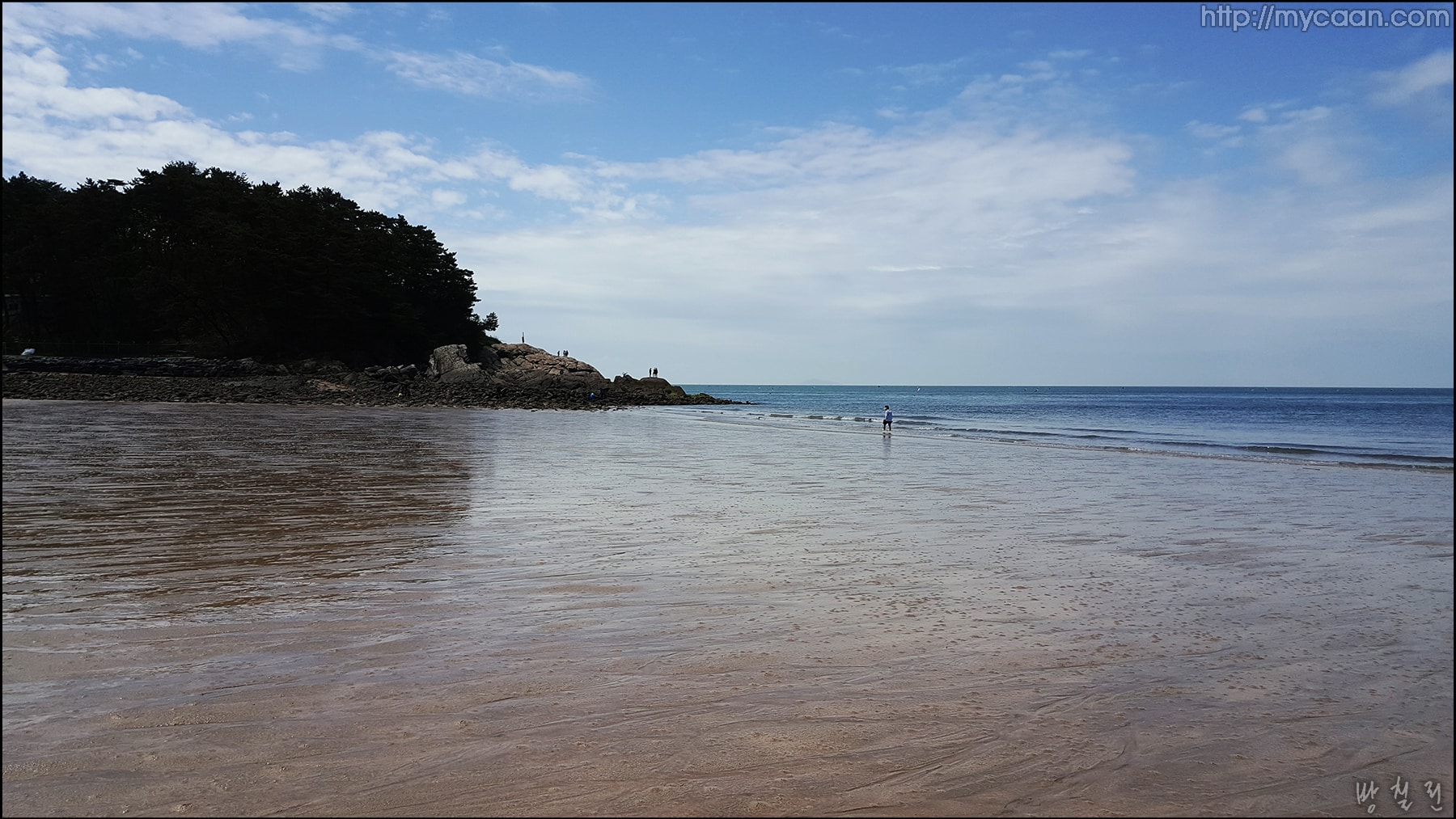 사용자 삽입 이미지