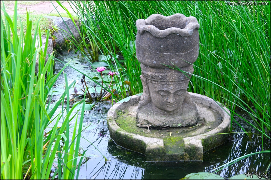 사용자 삽입 이미지