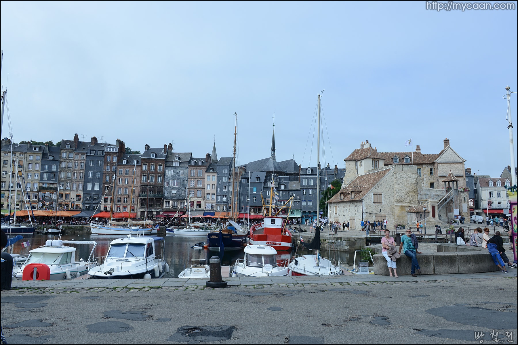 사용자 삽입 이미지