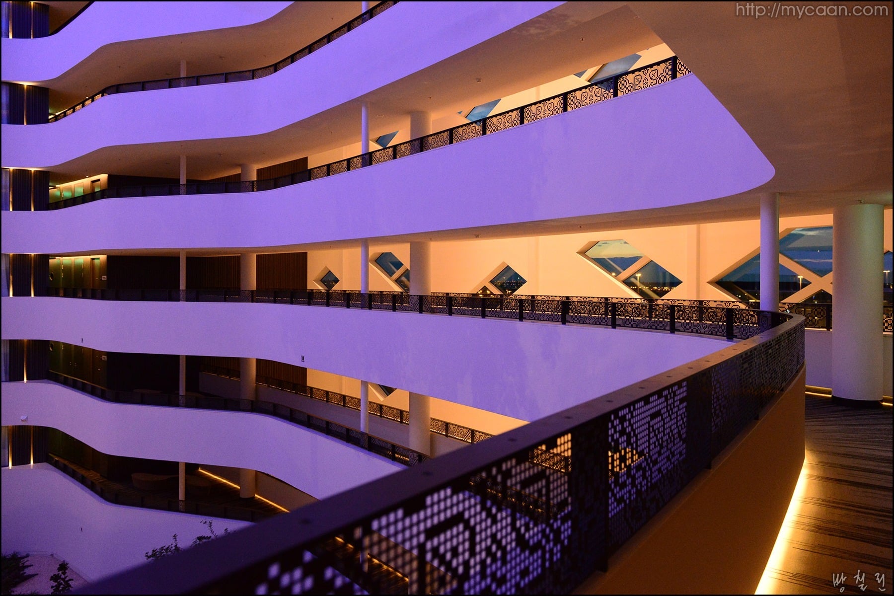 사용자 삽입 이미지