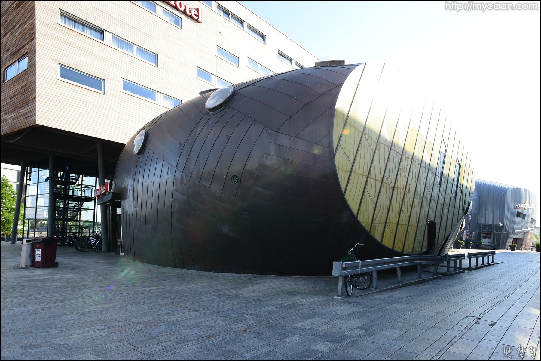 사용자 삽입 이미지