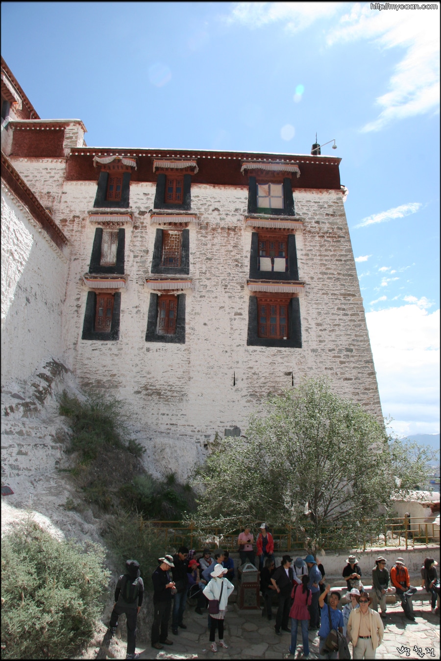 사용자 삽입 이미지