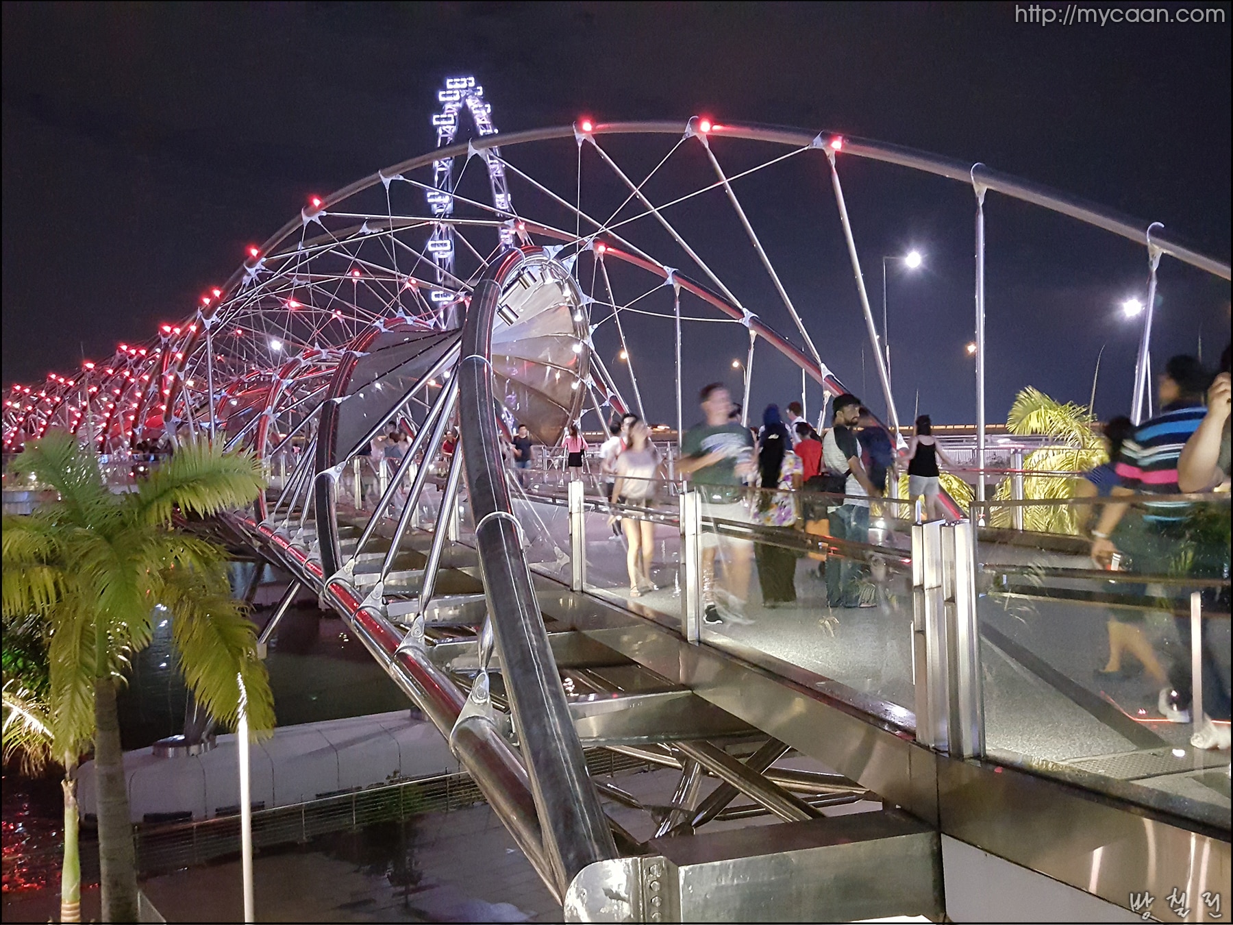 사용자 삽입 이미지