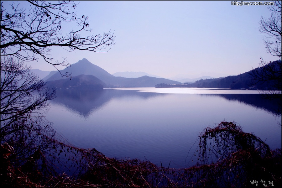 사용자 삽입 이미지