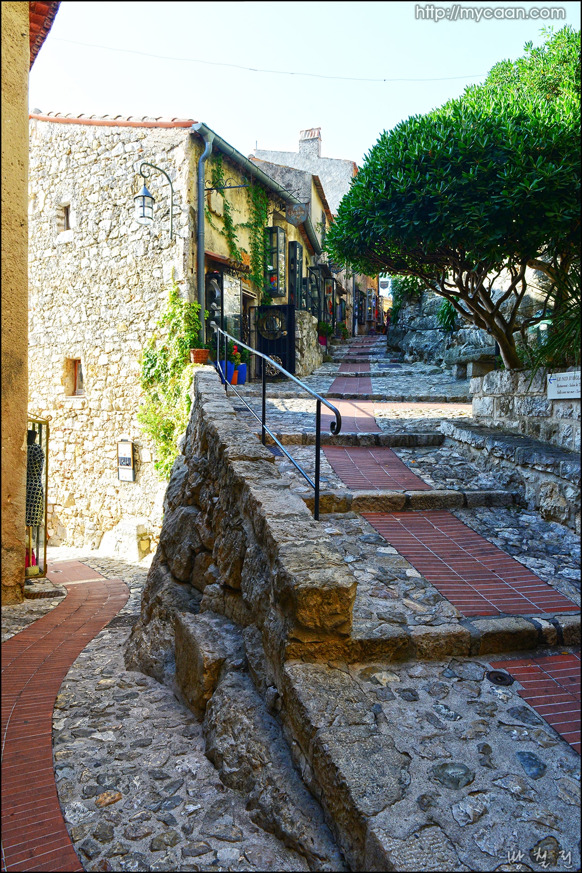 사용자 삽입 이미지