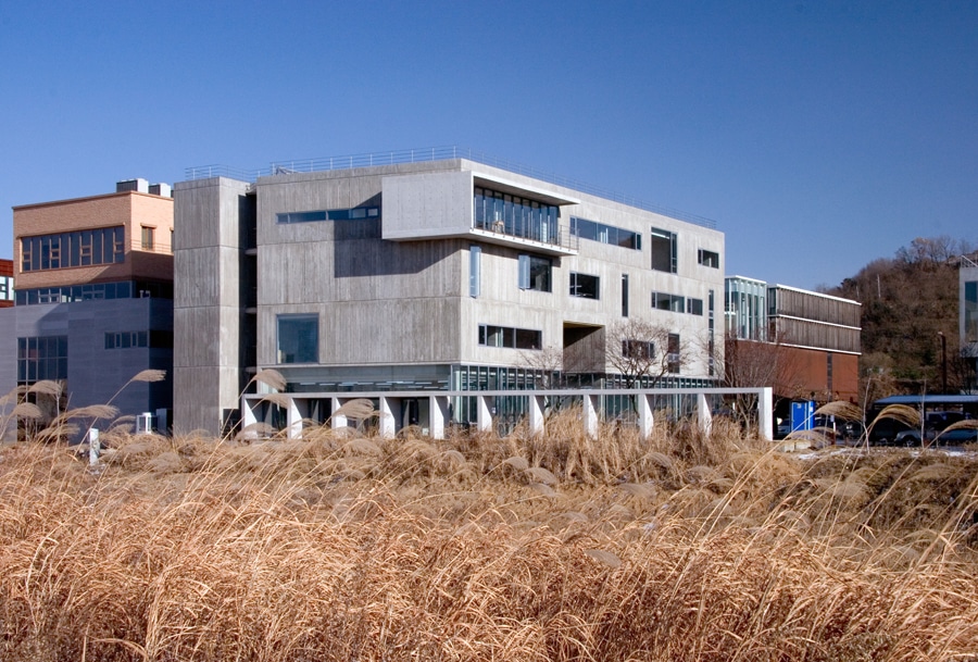 갈대밭이 있는 개천건너 대로에서 본 모습