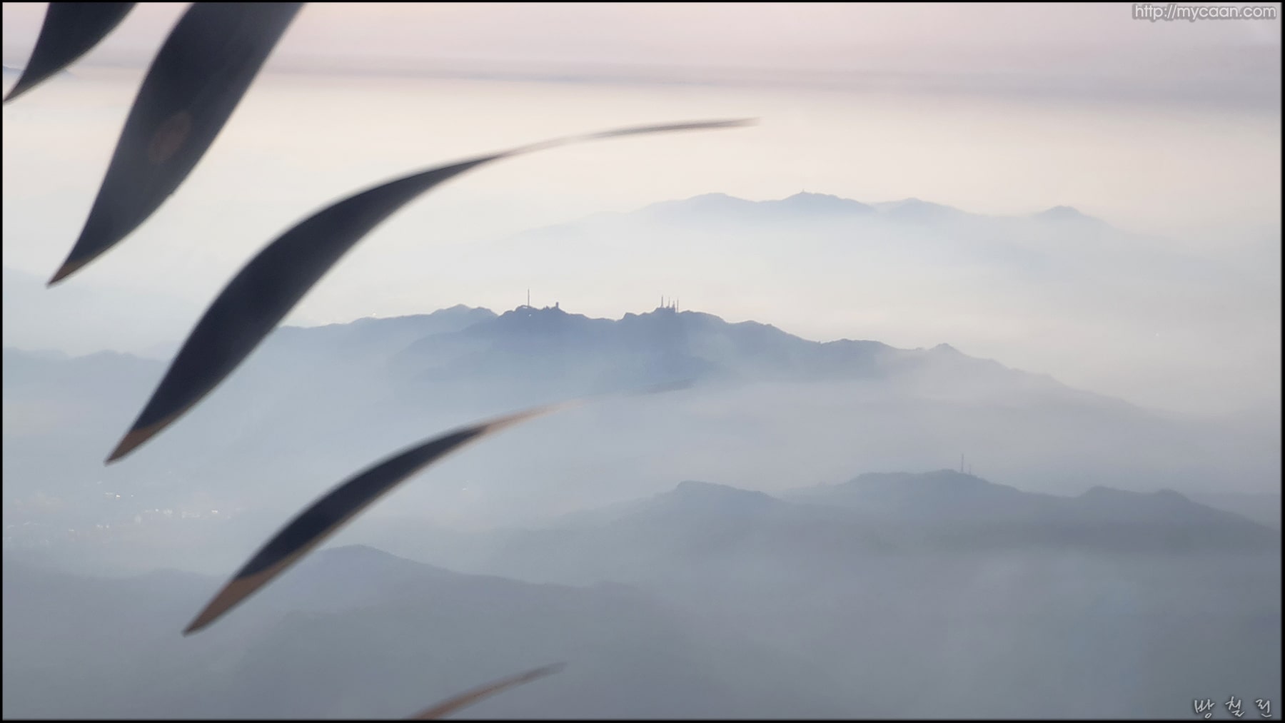 사용자 삽입 이미지