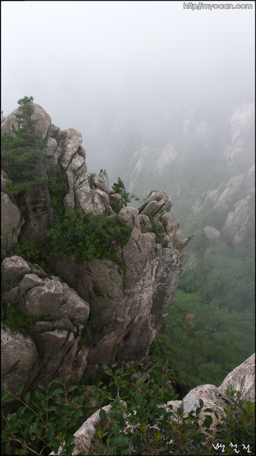 사용자 삽입 이미지