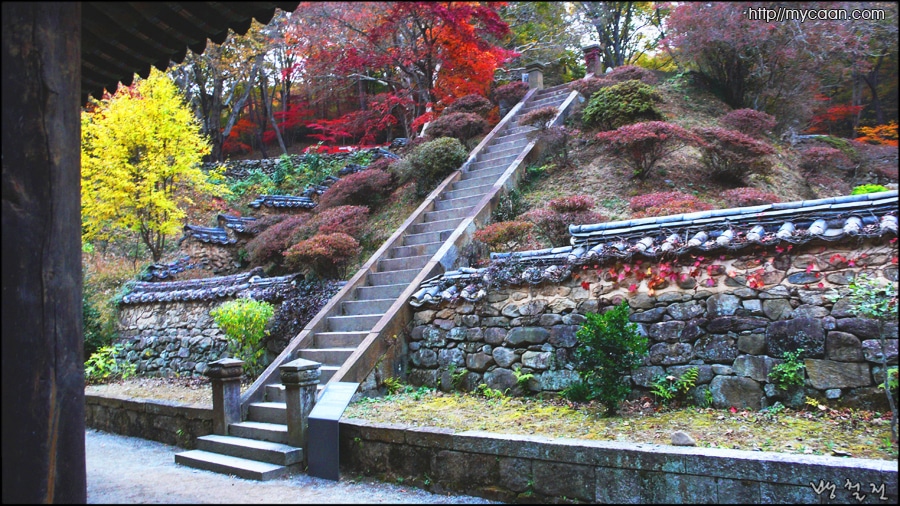 지눌 보조국사의 부도영역에 이르는 계단