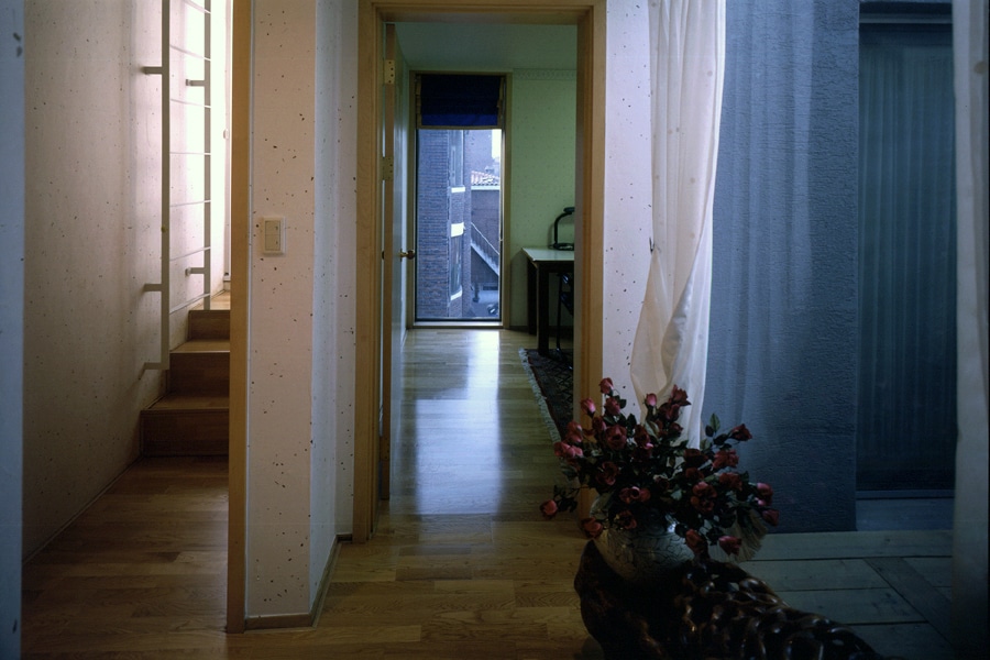 사용자 삽입 이미지