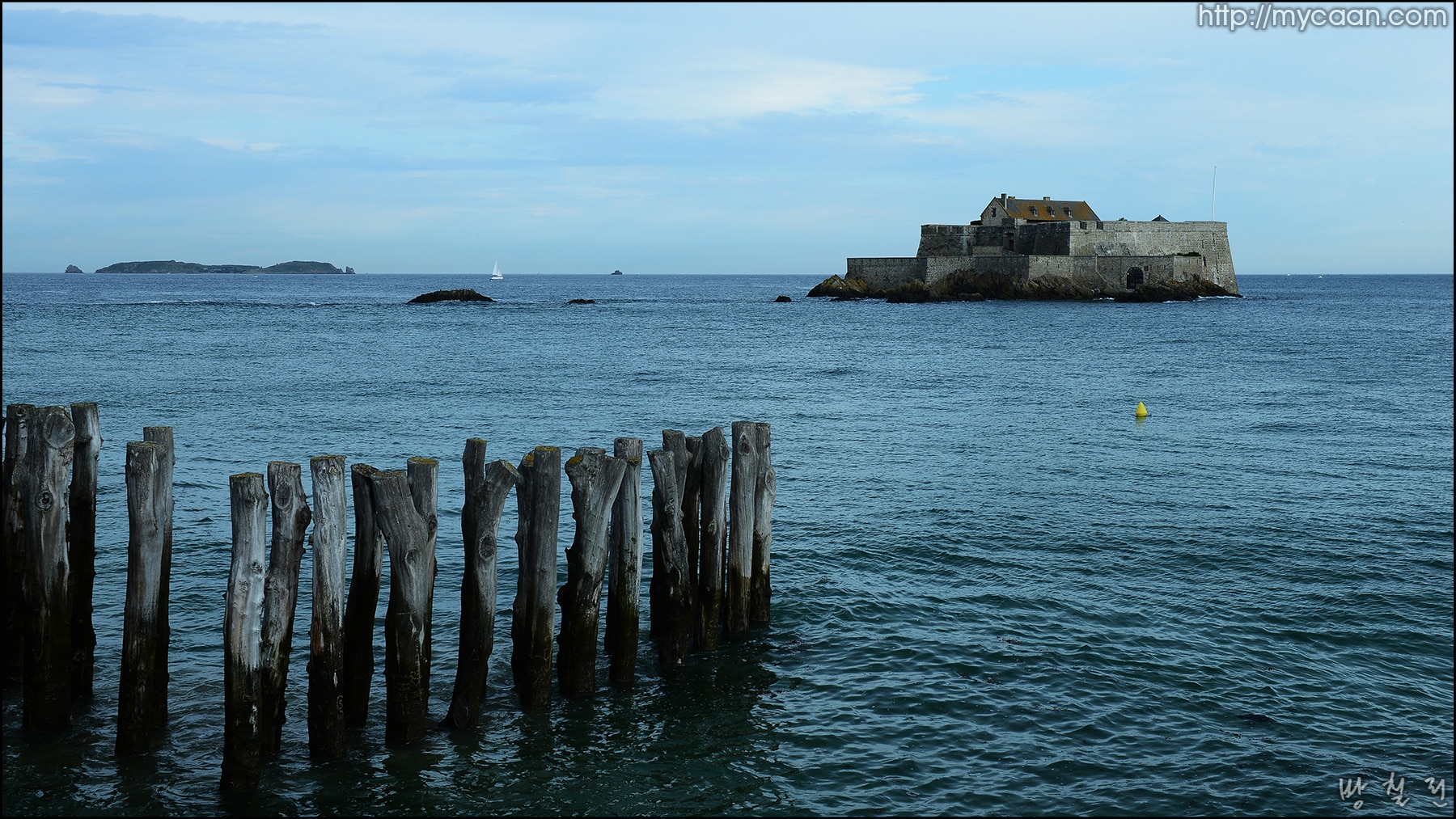 사용자 삽입 이미지