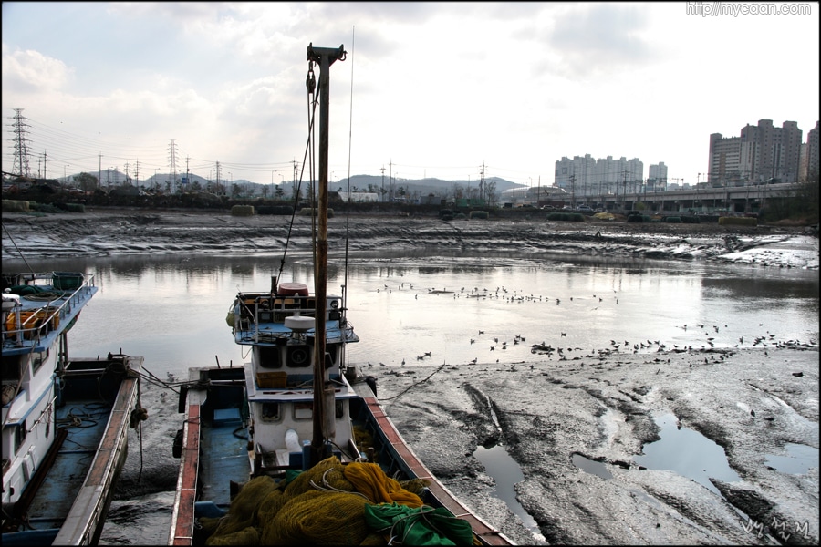 사용자 삽입 이미지