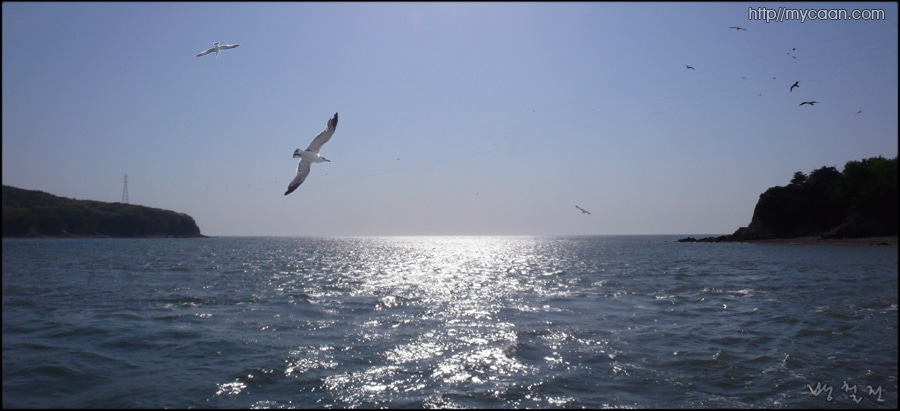 사용자 삽입 이미지