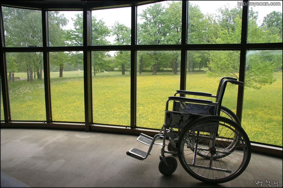 사용자 삽입 이미지