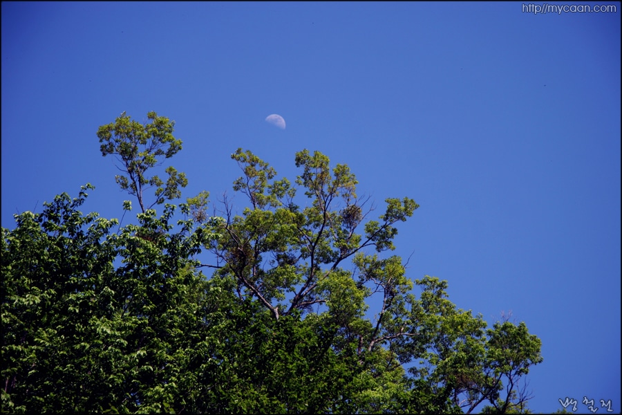 지리산 -낮에 나온 반달