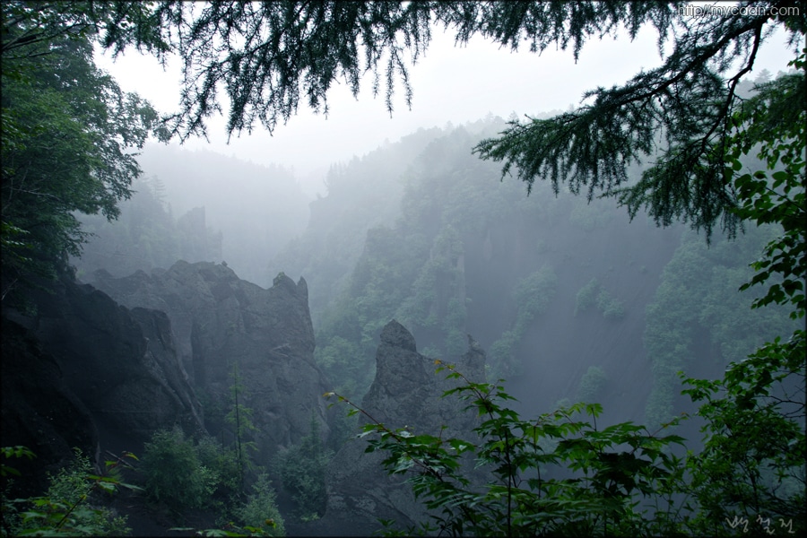 사용자 삽입 이미지